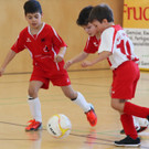 IMG_4826_jpg-1362385535