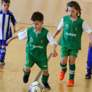 IMG_4852_jpg-1362385591