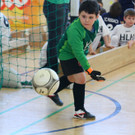 IMG_4927_jpg-1362385657