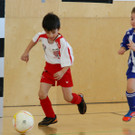IMG_4953_jpg-1362385691
