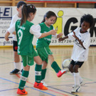 IMG_5086_jpg-1362385913