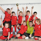 Hallenturnier zweites WE_Wolfi Ruetzler _102__jpg-1362404384