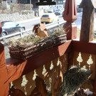 Fr__hlingsausstellung_2013 013.jpg
