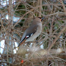 DSCN2318_JPG-1362440735