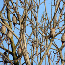 DSCN2328_JPG-1362440742