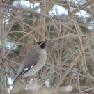 DSCN2320_JPG-1362440739