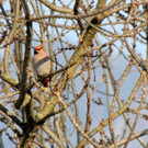 DSCN2359_JPG-1362440754