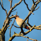 DSCN2508_JPG-1362440802