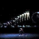 DSCN3877_JPG-1362444547