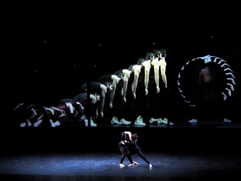 DSCN3877_JPG-1362444547