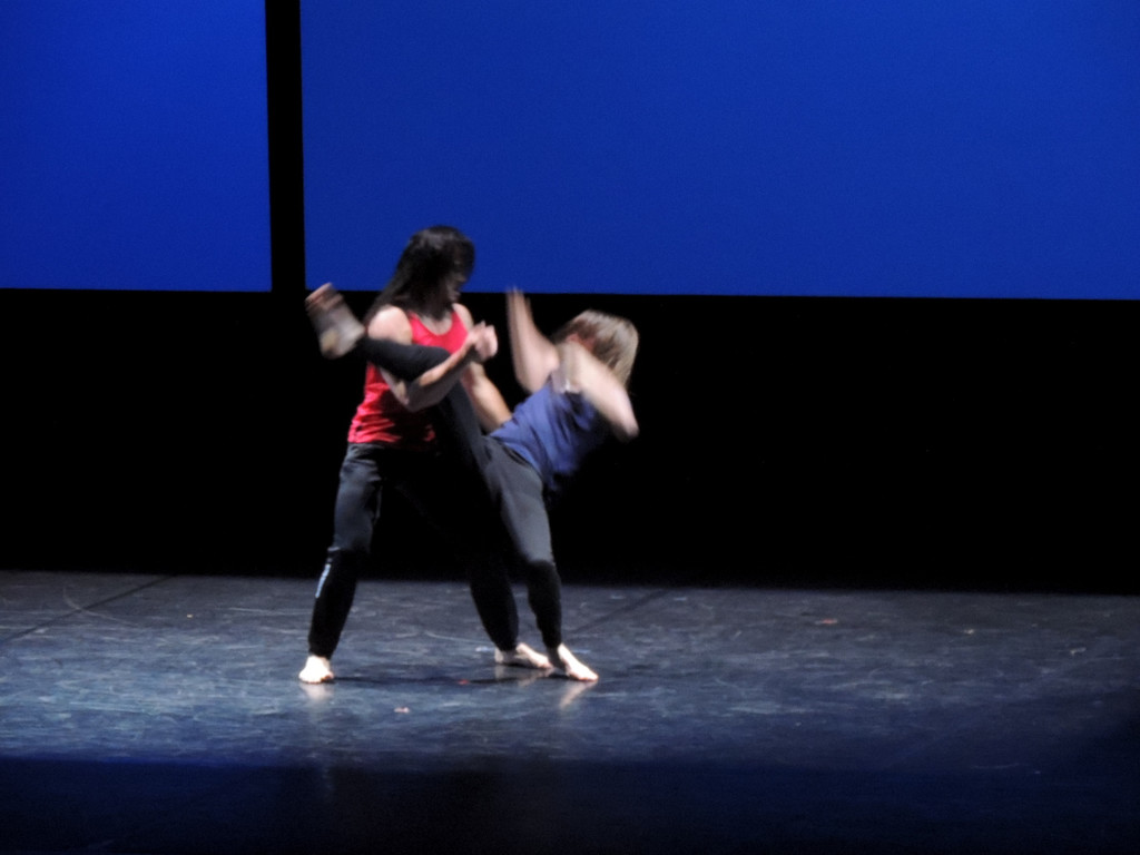 DSCN3919_JPG-1362444578