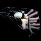 DSCN3957_JPG-1362444598