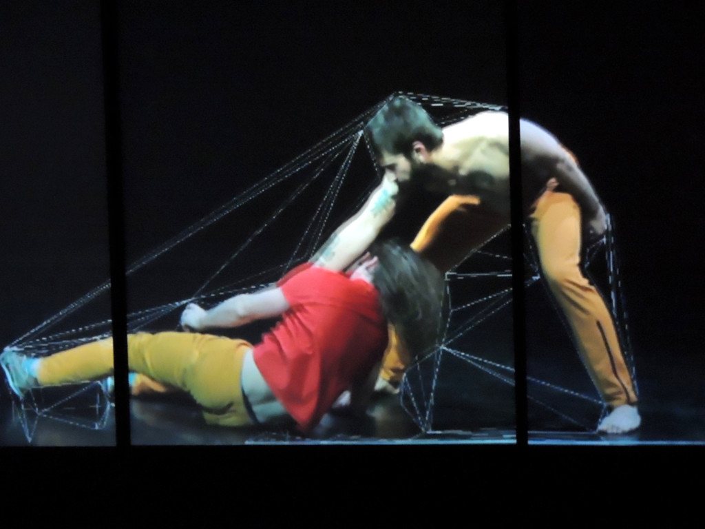 DSCN4088_JPG-1362444636