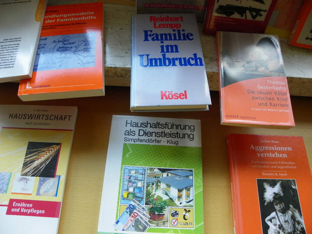 100_5927_jpg-1362444932