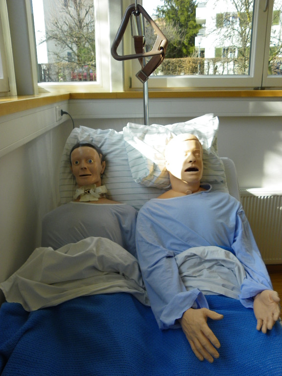 100_5972_jpg-1362444945