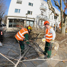 Baumschneider 3.jpg