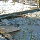 Kalb aus Pool gerettet