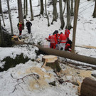 Forstunfall in Nenzing: 42-Jähriger lebensbedrohlich verletzt