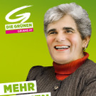 Gruene_Frauen2013_Faymann_medium.jpg