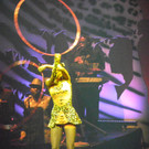 113_5949_JPG-1362614355