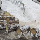 DSCN1054_JPG-1362614941