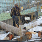 DSCN4383_JPG-1362614949