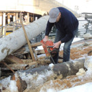 DSCN4390_JPG-1362614956