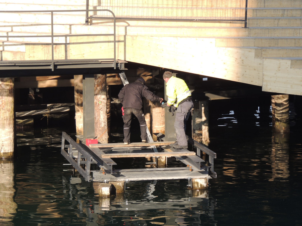 DSCN4401_JPG-1362615002