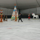 DSC02940_jpg-1362644011