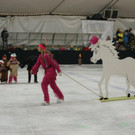 DSC02968_jpg-1362644012