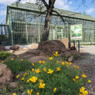 Wüstenhaus im Tiergarten Schönbrunn: Nacktmulle, Wüstenspringmäuse, Knabberfische