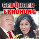 Facebook-Angriffe auf Maria Vassilakou und Michael Häupl