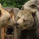 Vinzenz und Liese.JPG