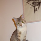DSC01043.JPG