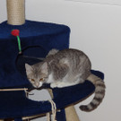DSC00942.JPG