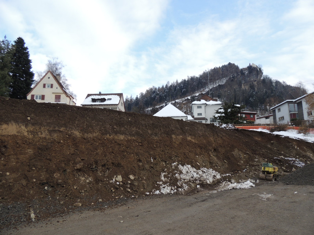 DSCN2837_JPG-1362820929