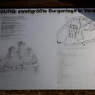 Ruine Neuburg03.JPG