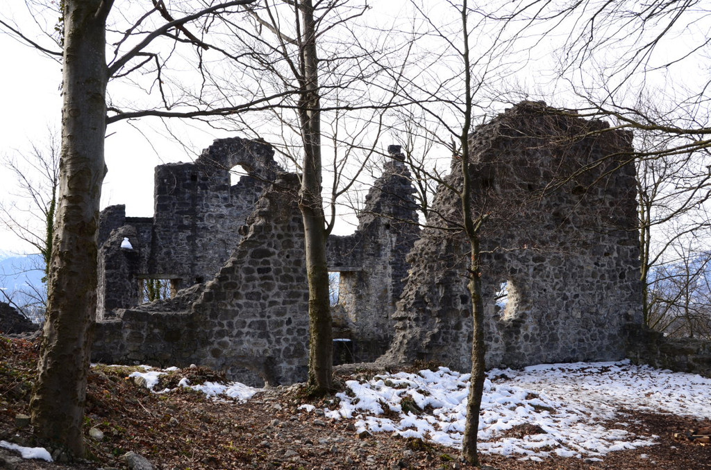 Ruine Neuburg48.JPG
