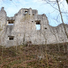 Ruine Neuburg58.JPG