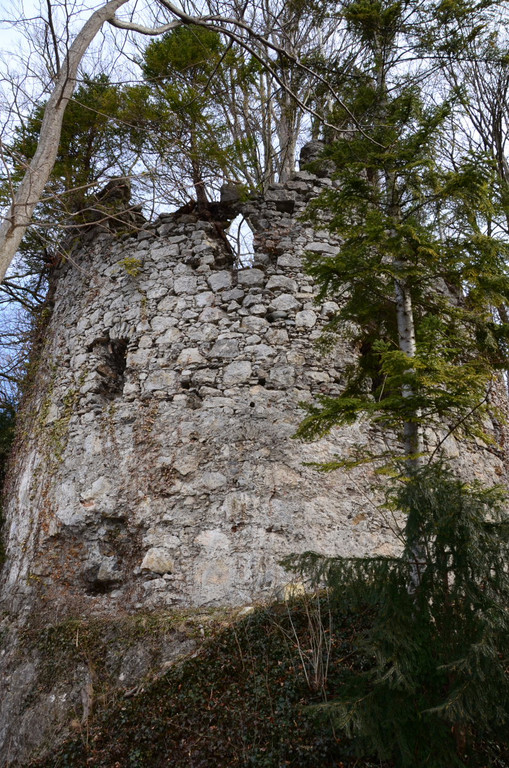 Ruine Neuburg68.JPG