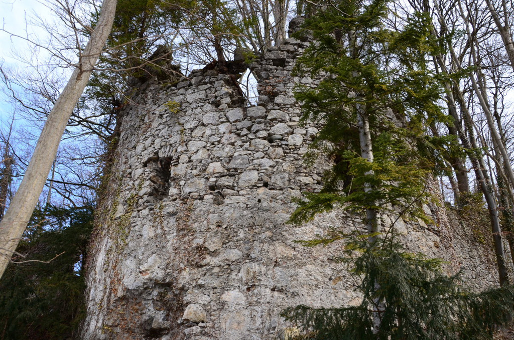 Ruine Neuburg69.JPG
