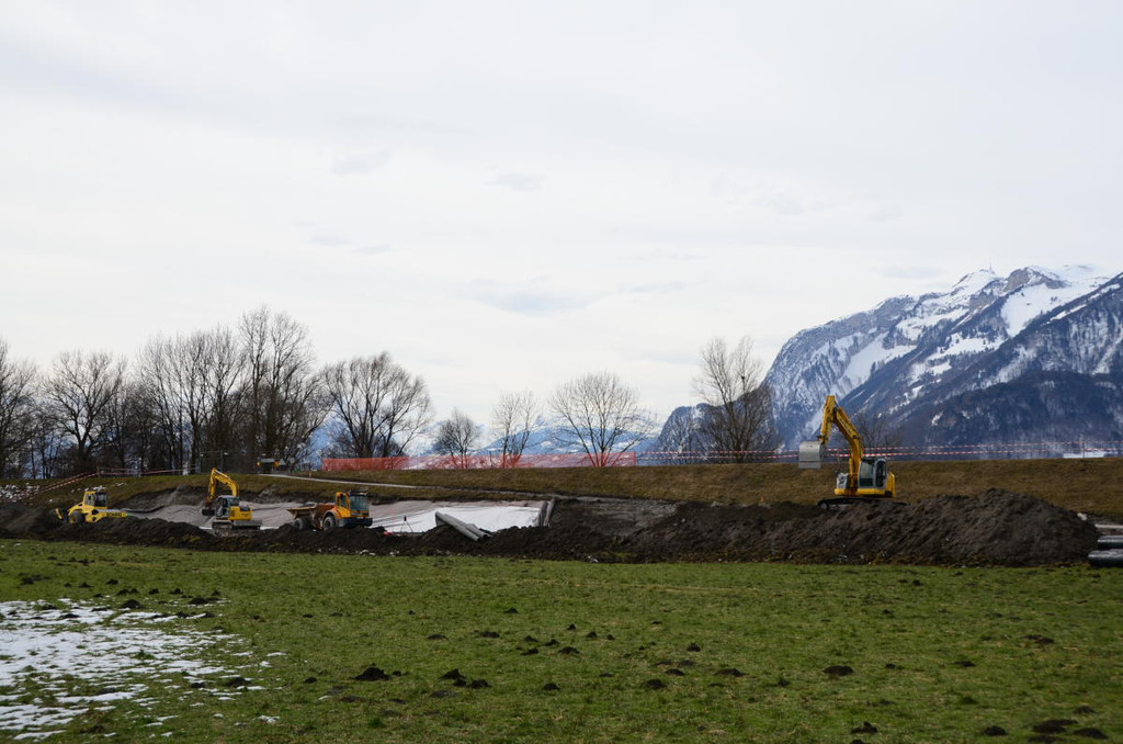Rheindamm Hochwasserschutz 02.JPG