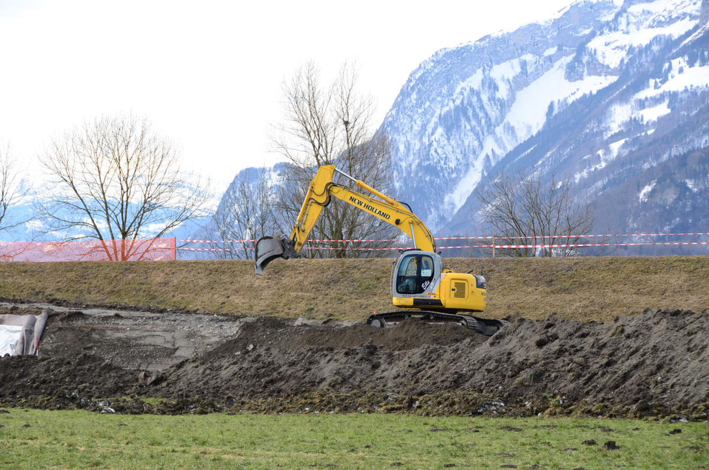 Rheindamm Hochwasserschutz 03.JPG