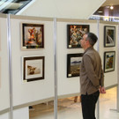 IMG_5665_jpg-1362843229
