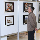 IMG_5666_jpg-1362843242