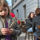 Frühlingshafte Temperaturen  in Dornbirn