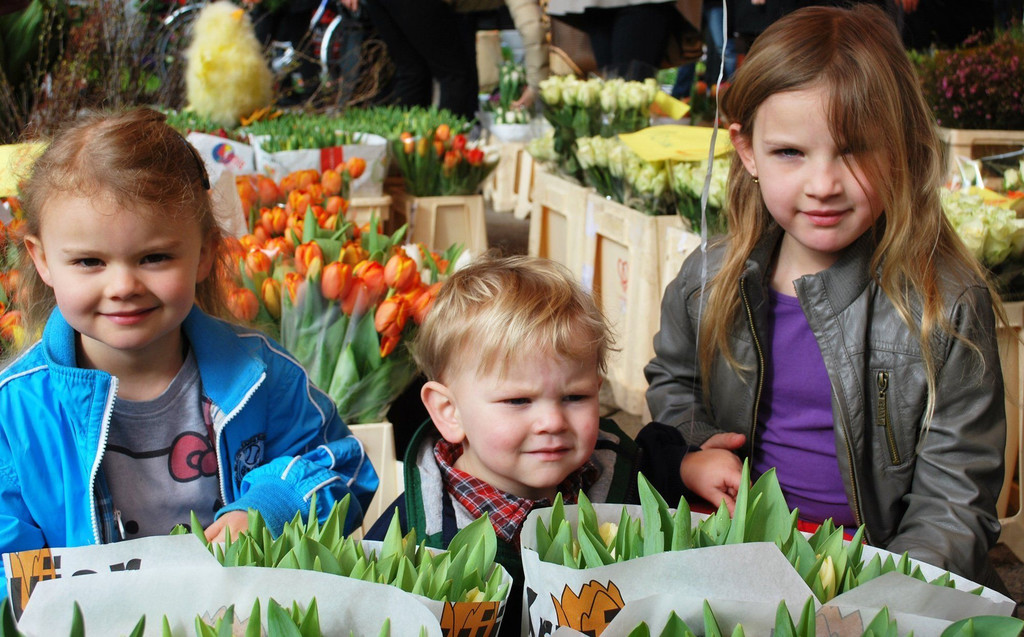 DSC_0030a-1.jpg