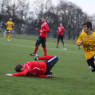 IMG_6674_jpg-1362853524