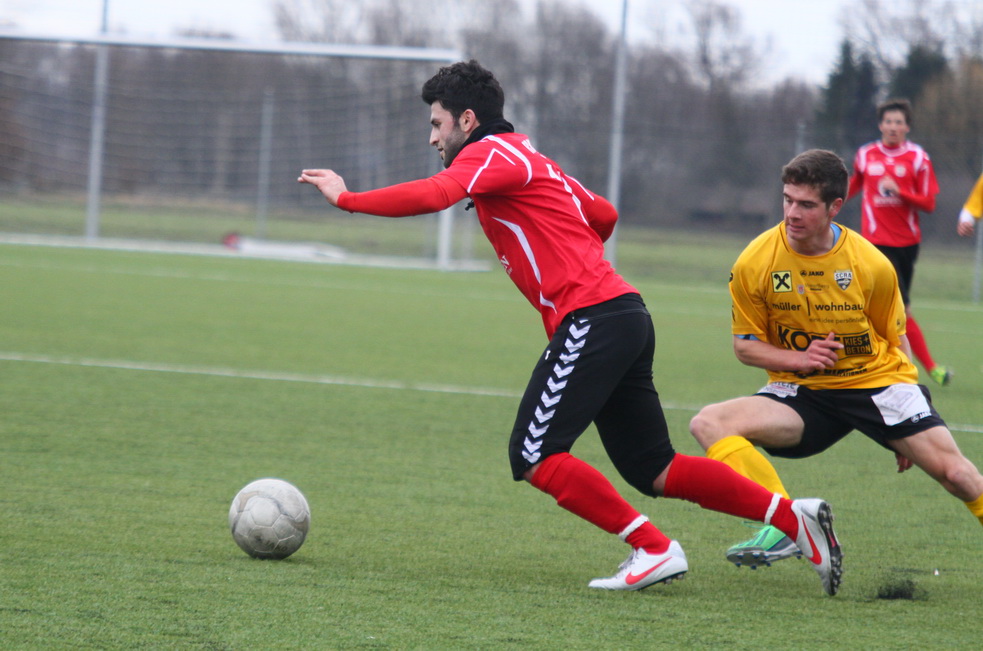 IMG_6690_jpg-1362853572