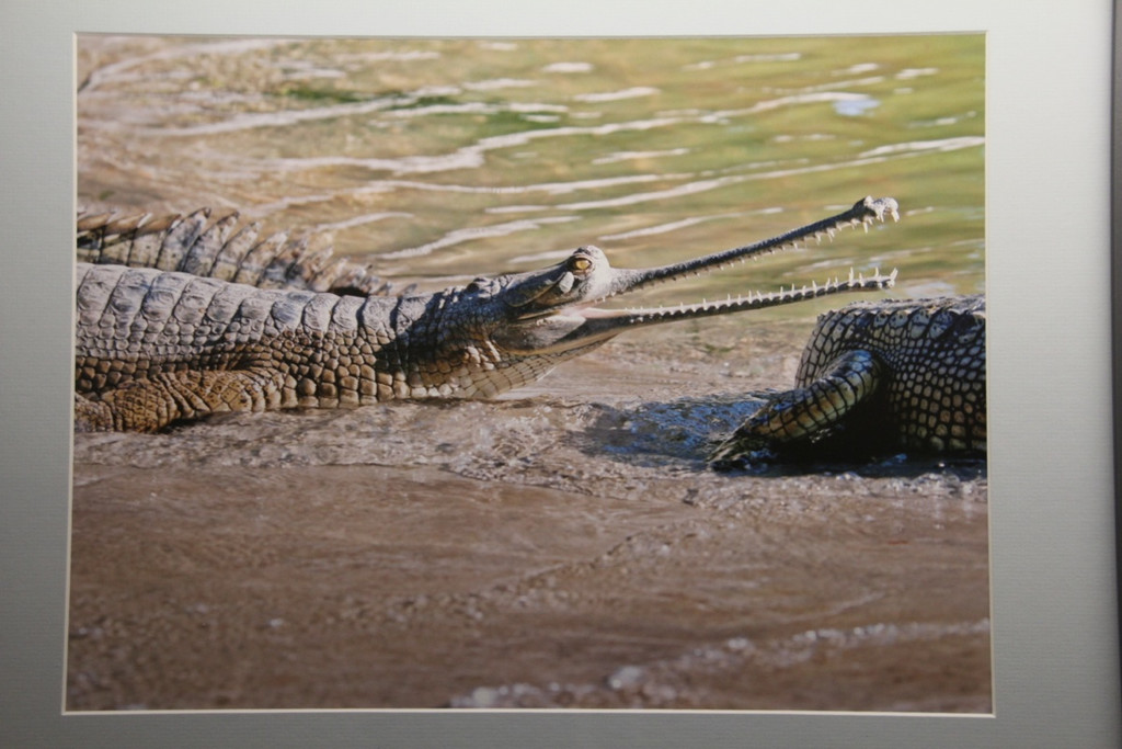 BK_Trekking_in_Nepal 24_jpg-1362866246